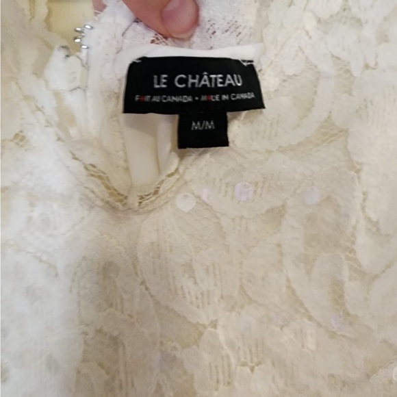 SOLD Never Worn Le Chateau Lace and Sequin Dress - Picture 2 of 2